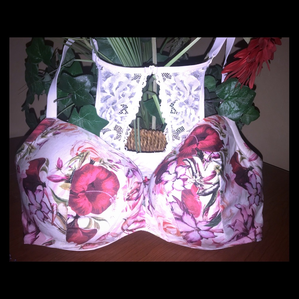 LAne Bryant  Bra